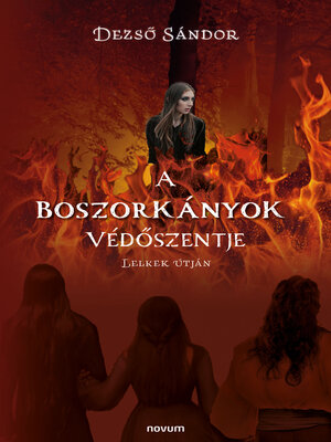 cover image of A Boszorkányok Védőszentje